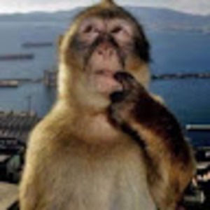 Meet your Posher, Crustyseaurchi